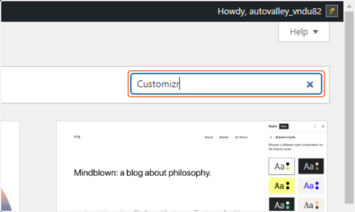 Type "Customizr" in the search bar at the top right