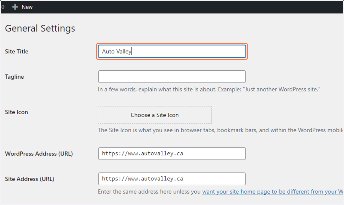 Add the business name to the "Site Title" section