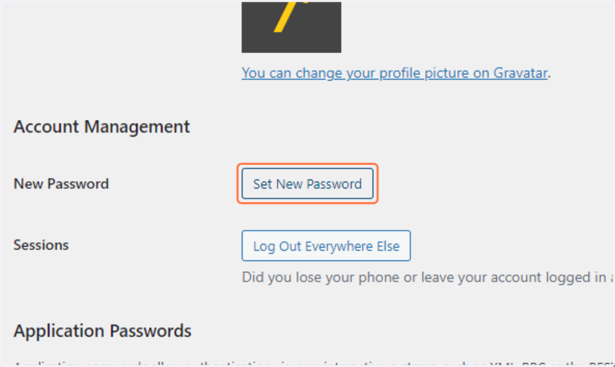 Click on Set New Password