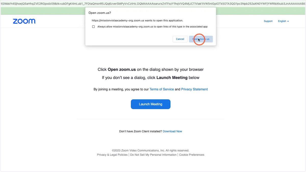 Click "Open zoom.us"