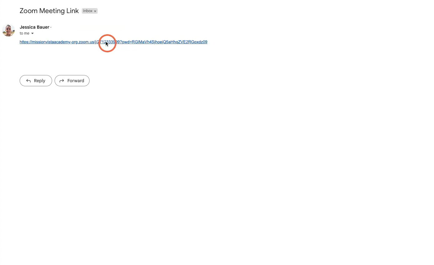 Click on the Zoom meeting link provided by your instructor