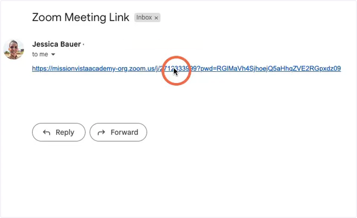 Click on the Zoom meeting link provided by your instructor