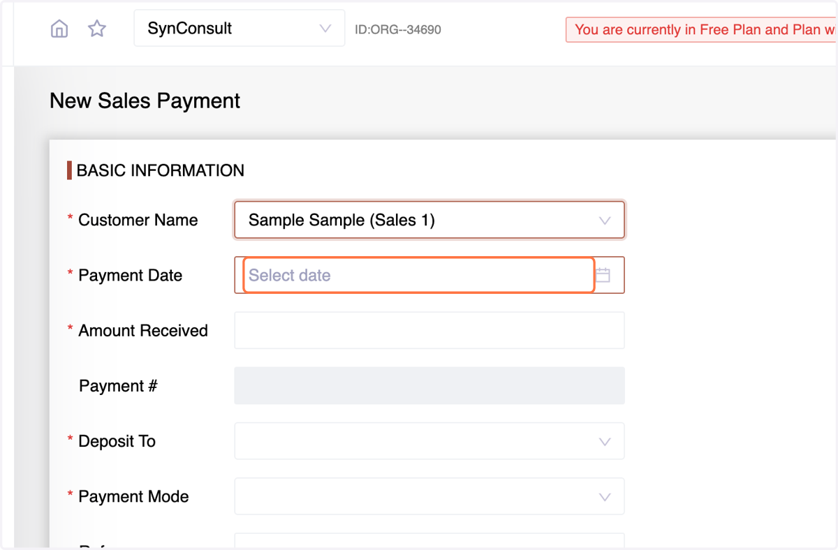 Enter the Payment Date and