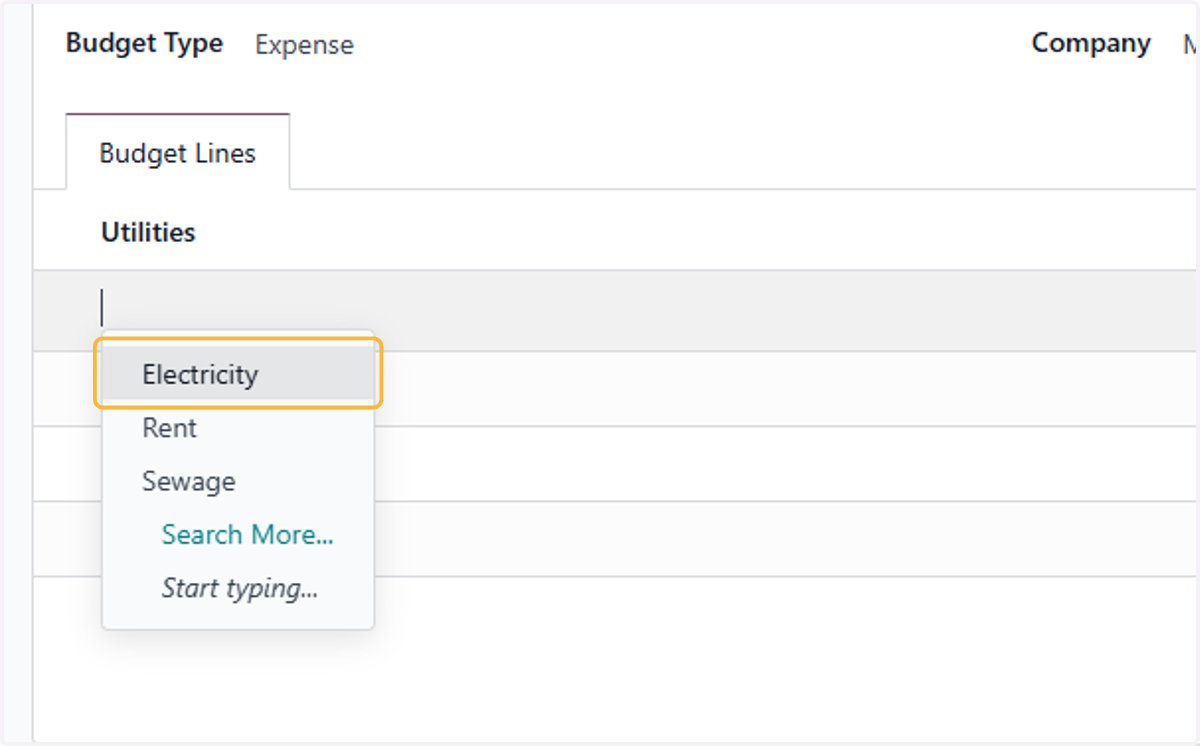 Fill in relevant analytic accounts/tags