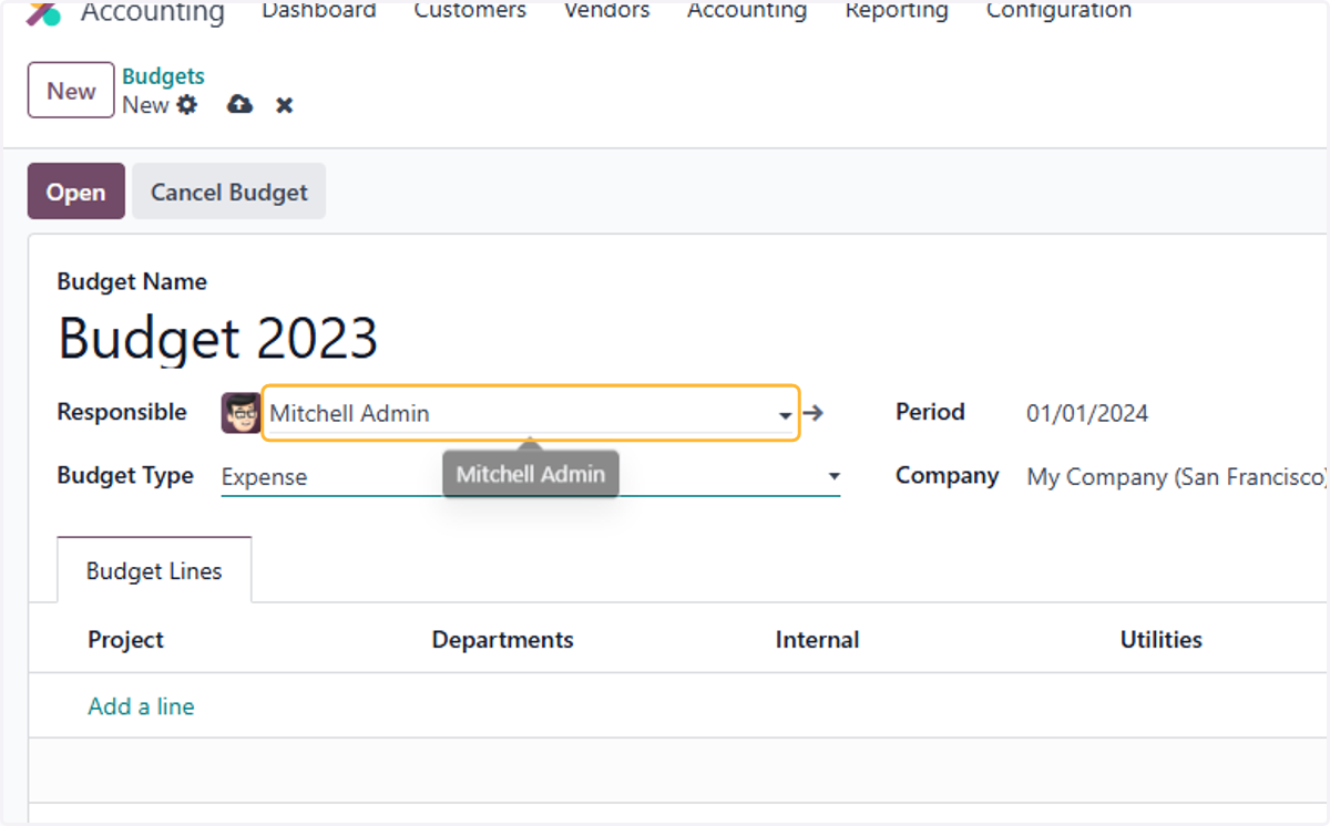 By default, the user is set as responsible for the budget. Amend if needed