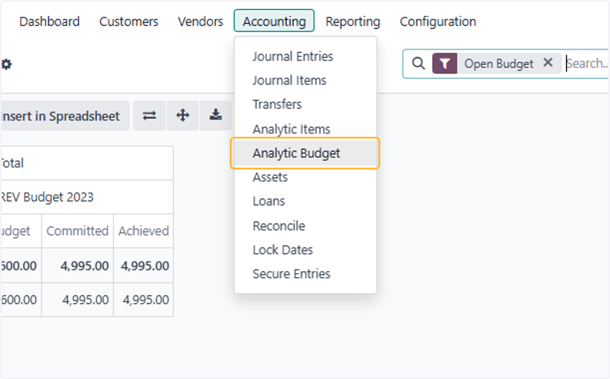 Click on Analytic Budget