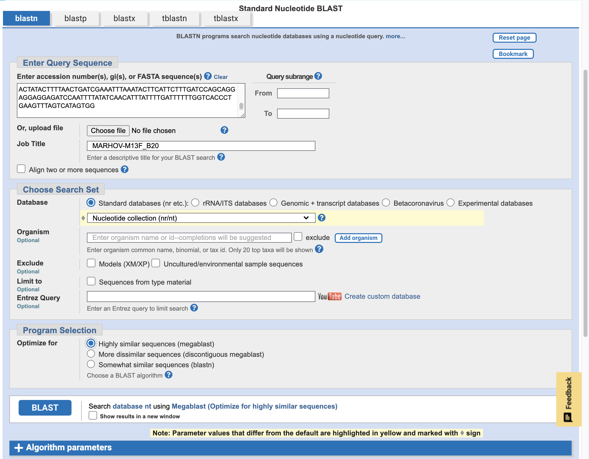 In the 'Program Selection' section, optimise for 'Highly similar sequences (megablast)'.