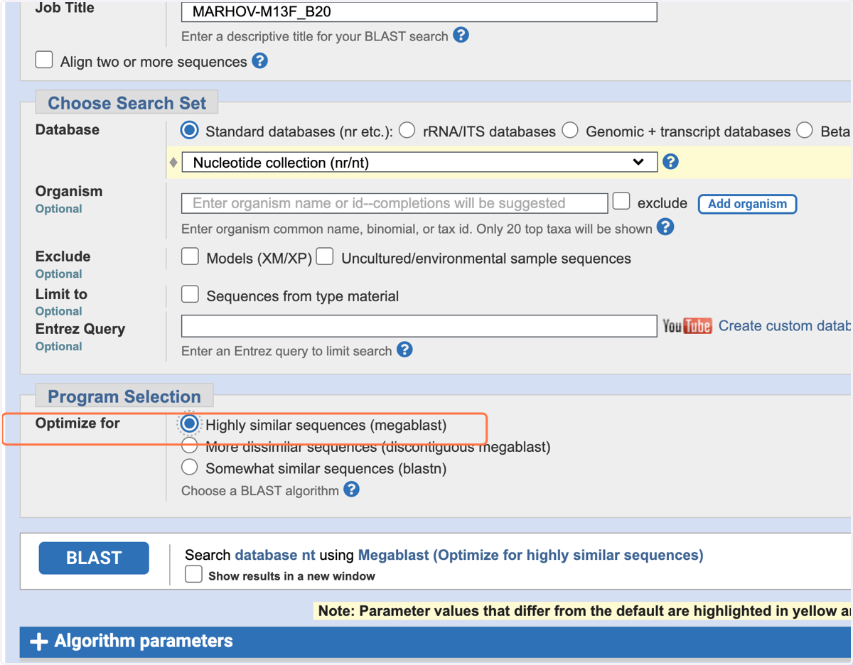 In the 'Program Selection' section, optimise for 'Highly similar sequences (megablast)'.