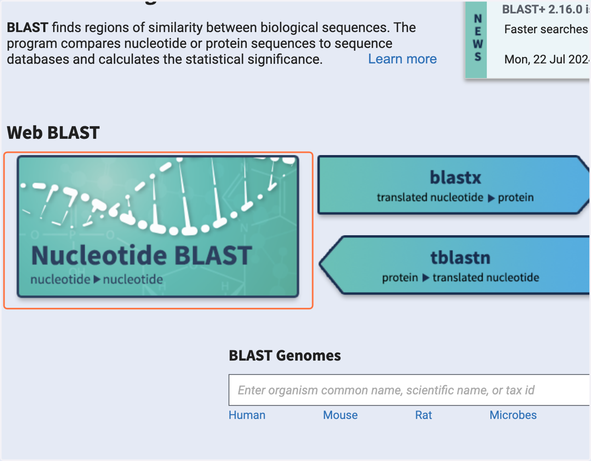 Select Nucleotide BLAST.