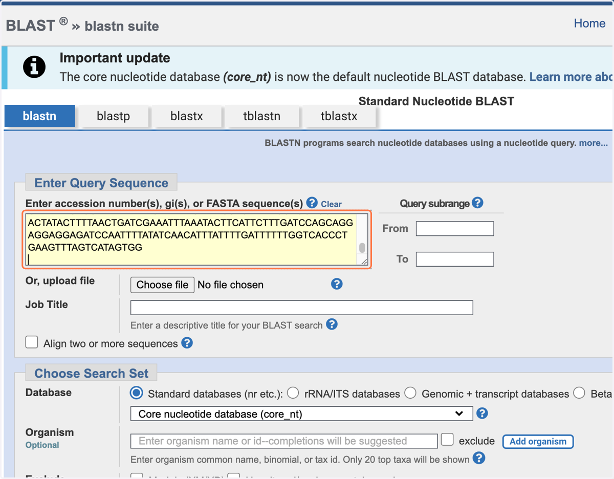 On the blastn tab, in the white box in the 'Enter Query Sequence' section, copy and paste the >, name and sequence for your DNA barcode.