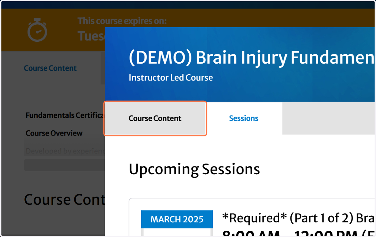 Click on View Course Content