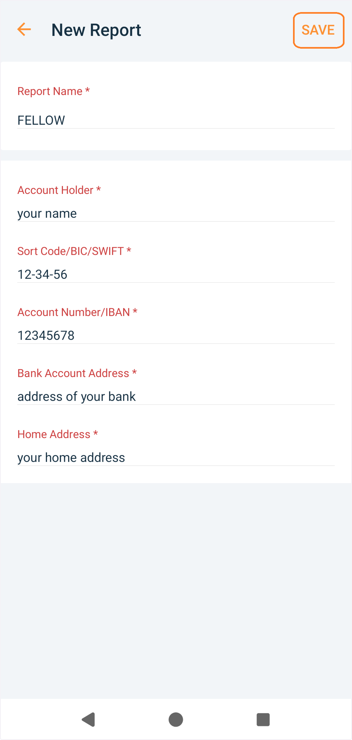 Name your report FELLOW. Add your bank details and save the report.