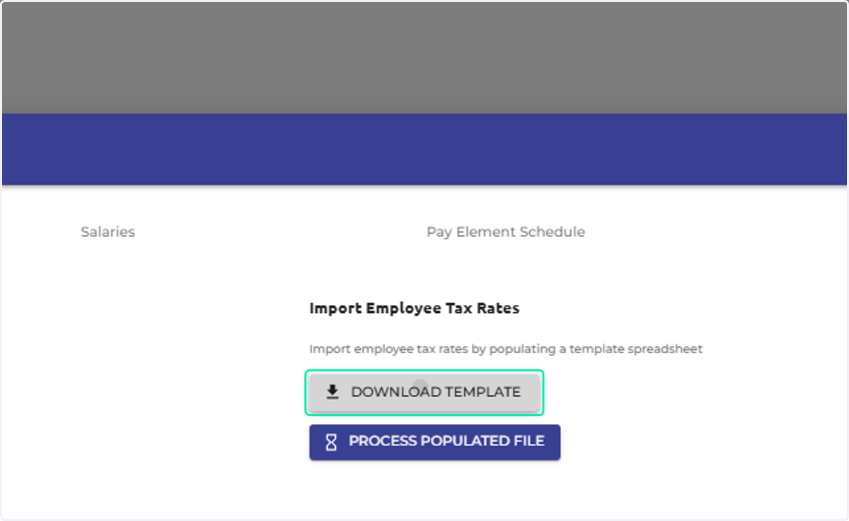 Click on DOWNLOAD TEMPLATE, complete the template with your employee's updated information and effective date for the new record to begin from.
