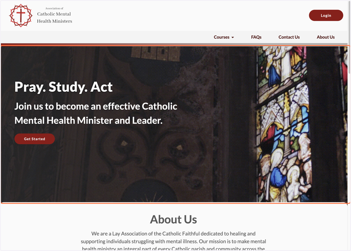 Go to learning.catholicmhm.org