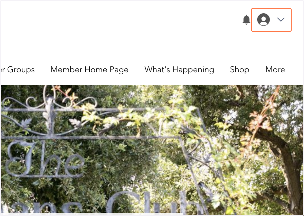Click profile icon