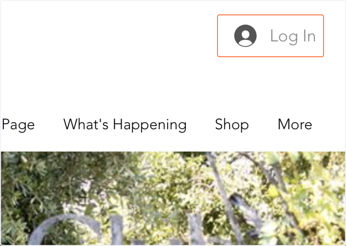 Log in