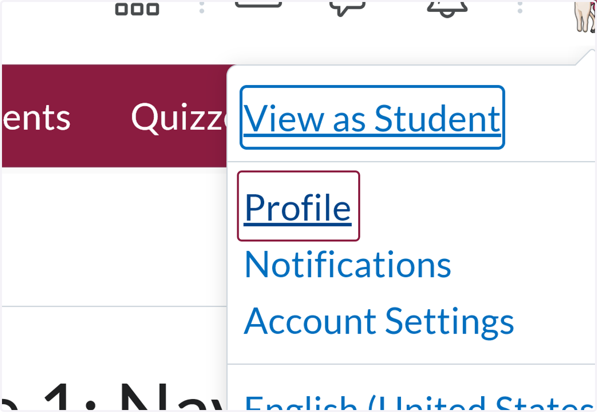 Click on Profile