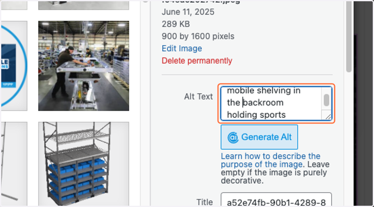 type in applicable alt text