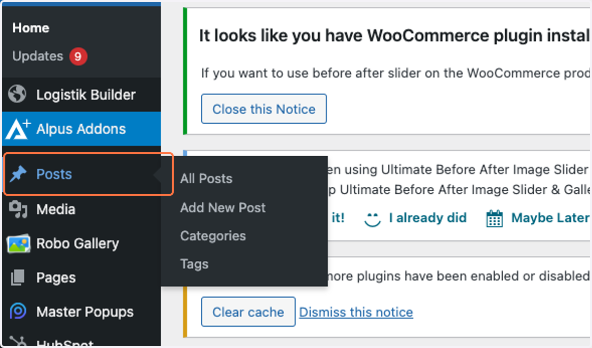 Click on Posts
