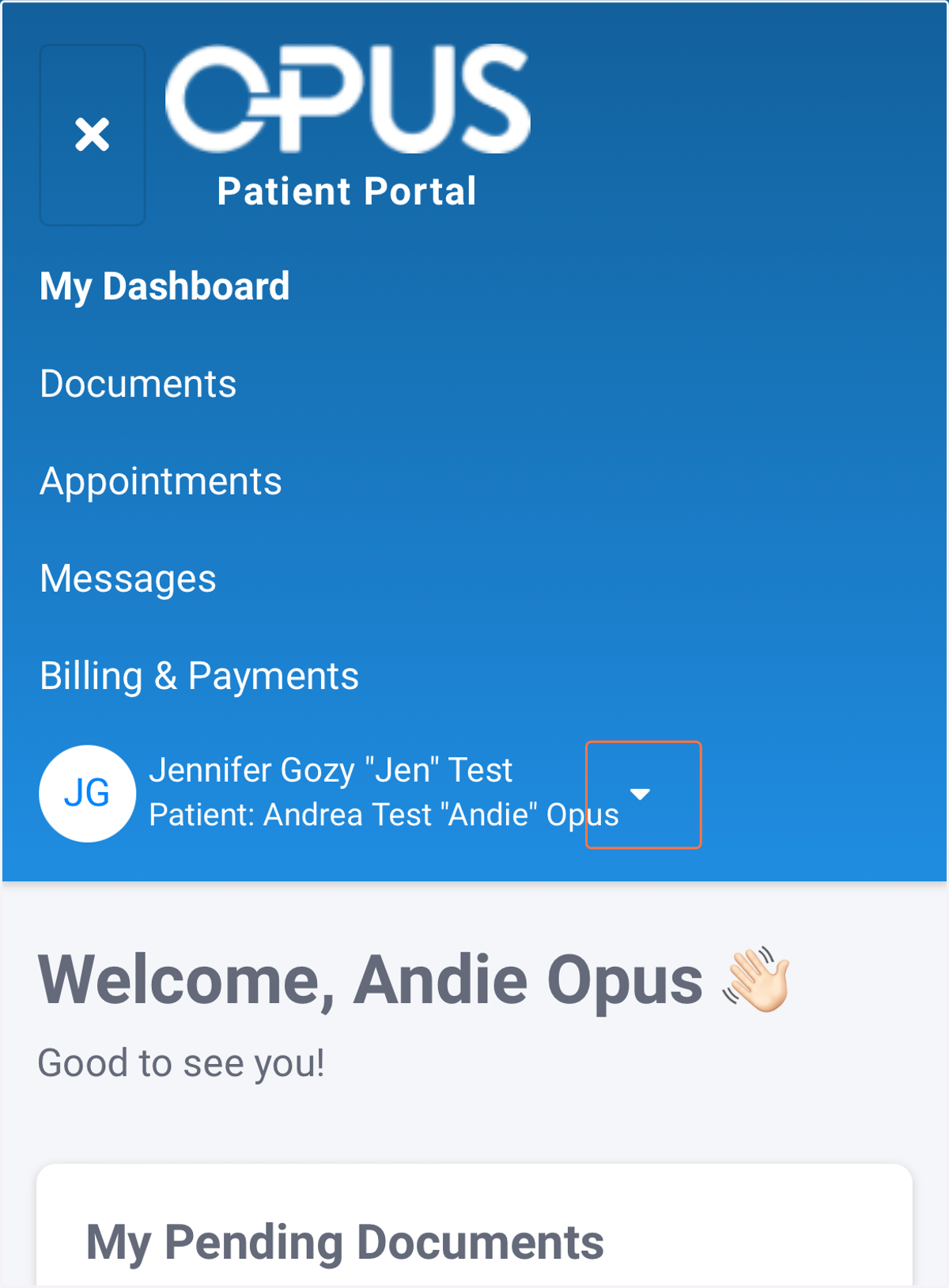 Click the dropdown next to "Patient:"