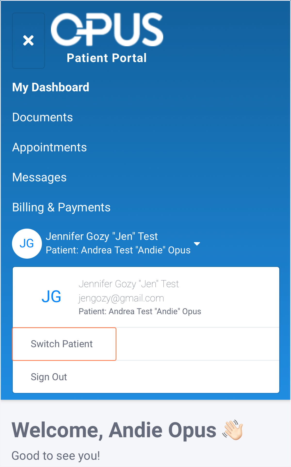 Select "Switch Patient"