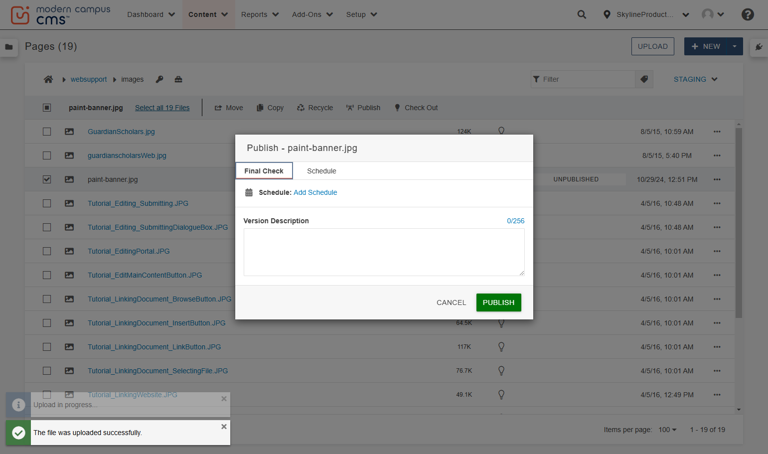 Click on the green PUBLISH button in the pop-up. Now the file is publicly available on the web, and you can use it on your webpage.