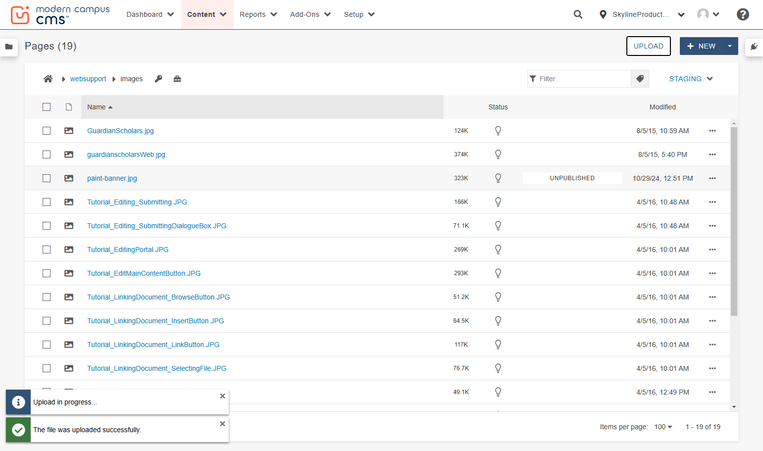 Your file is uploaded, but not yet published. Click the checkbox to the left of your newly uploaded file to select it.