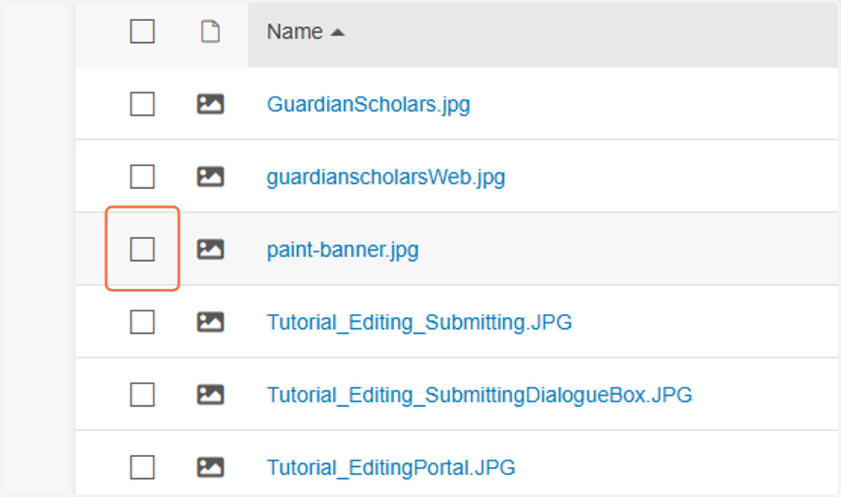 Your file is uploaded, but not yet published. Click the checkbox to the left of your newly uploaded file to select it.