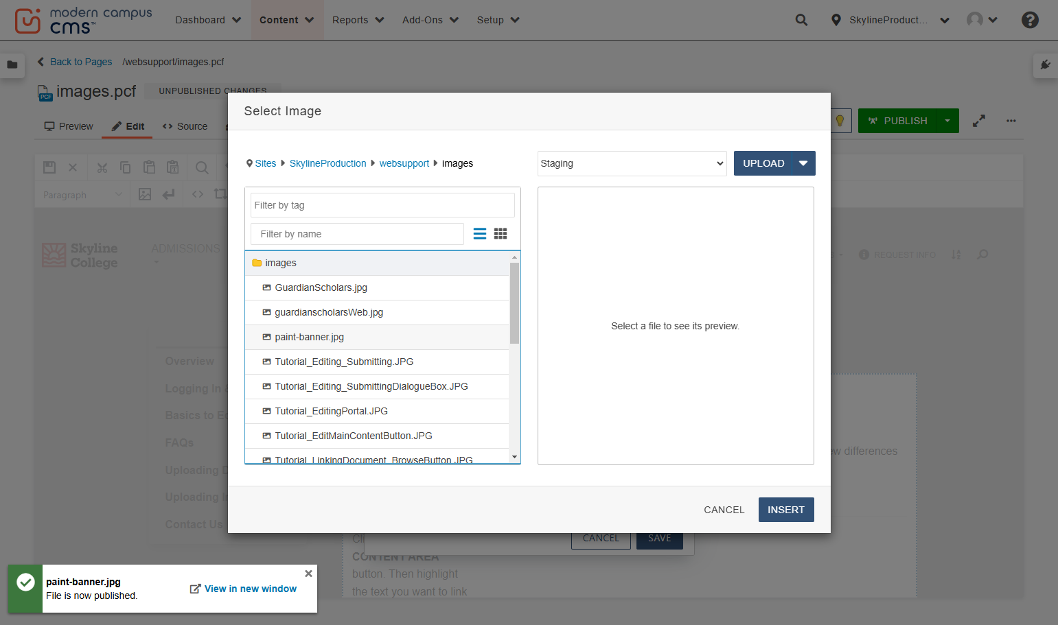 Find your image in the images folder, then click insert in the bottom right corner.