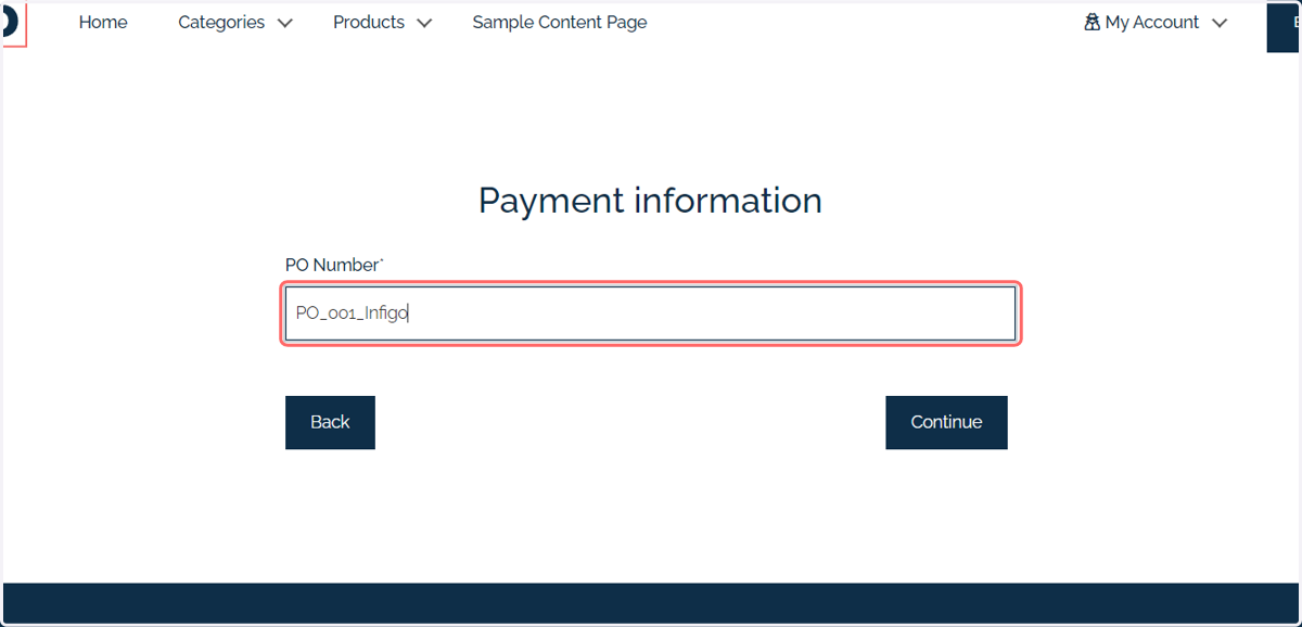 Input payment information