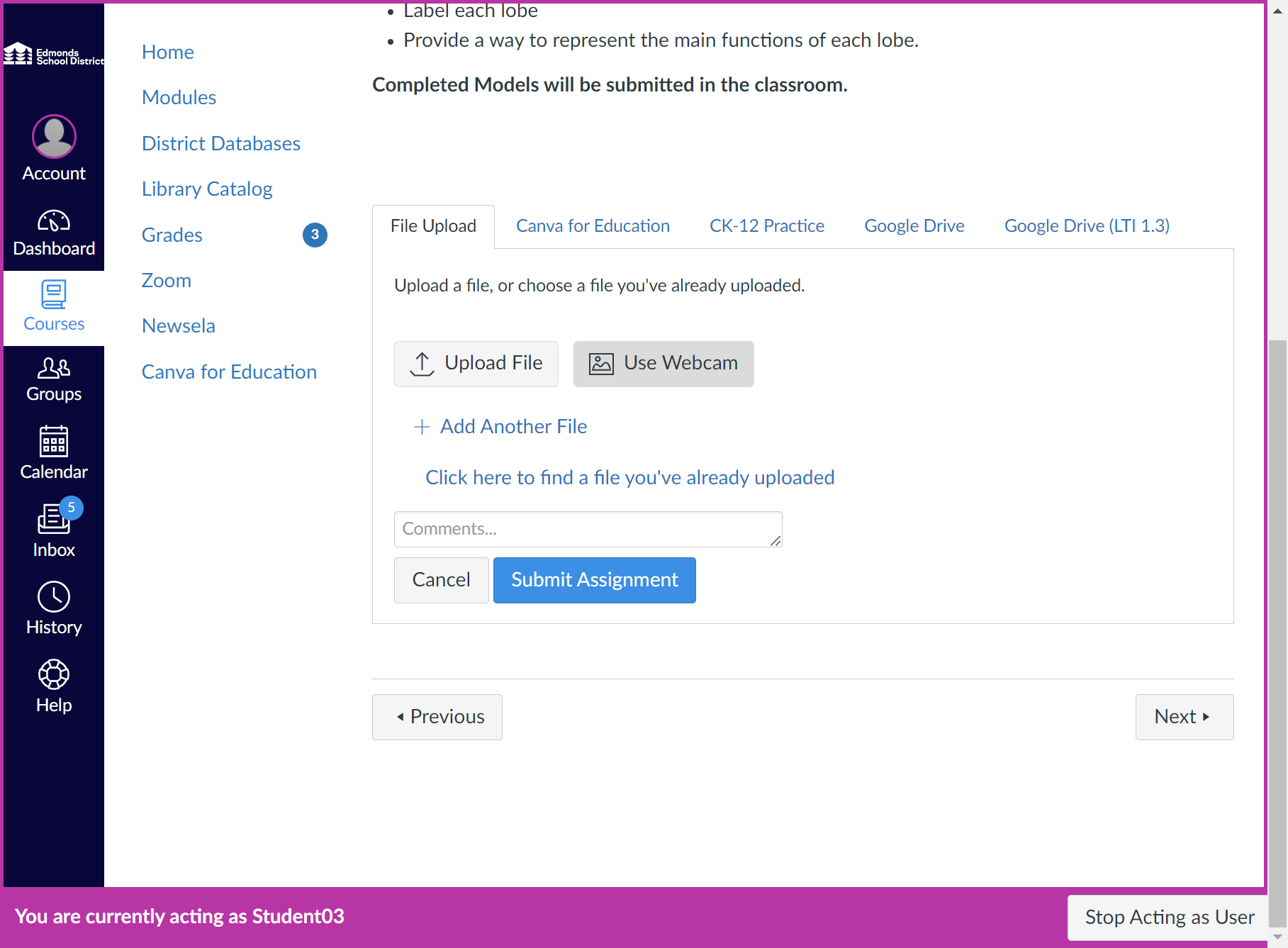 Use Webcam Button