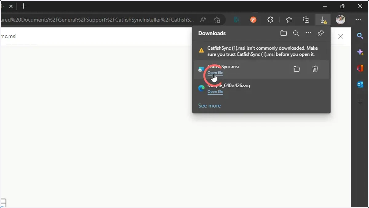 Run the Installer