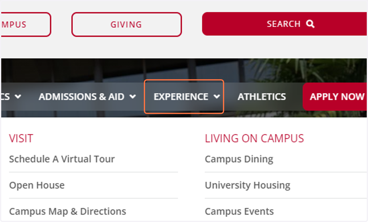 Click on EXPERIENCE