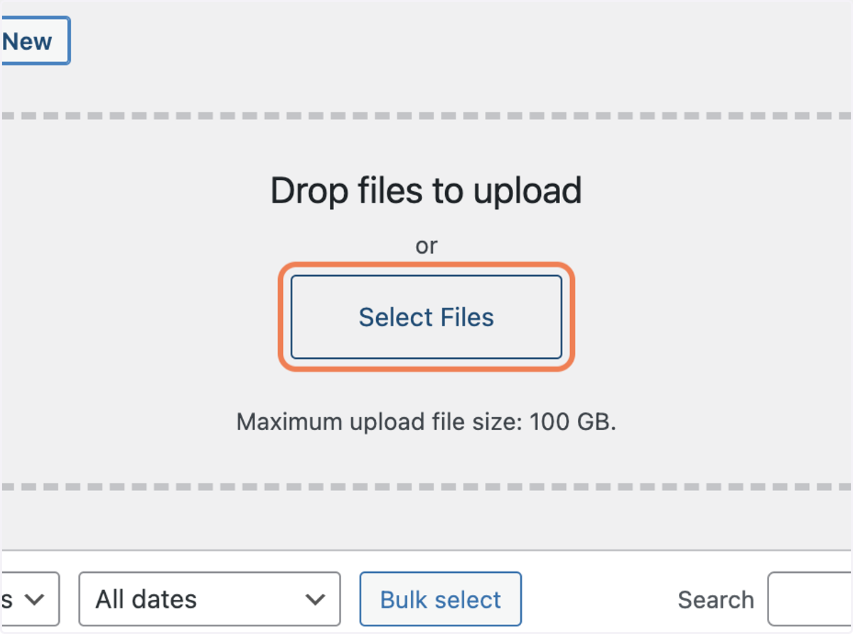 Click on Select Files