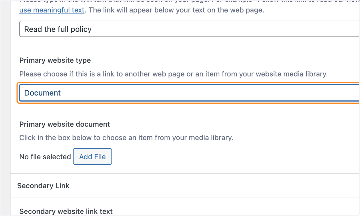 The "Primary website type" drop-down with Document selected