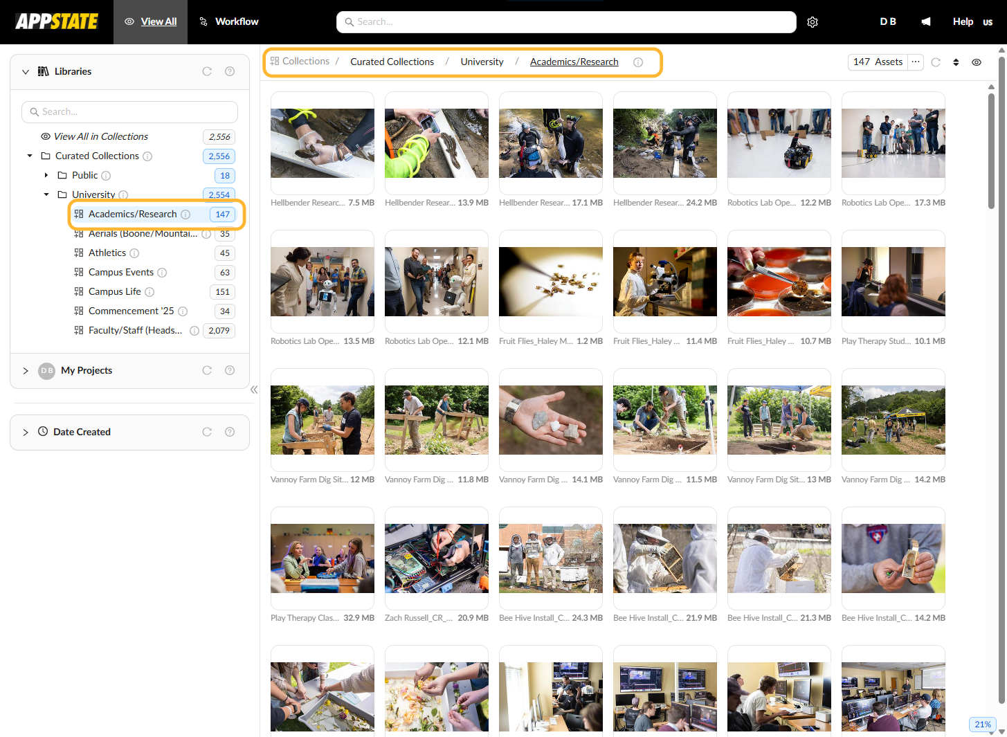 In the middle panel you will see the photos.