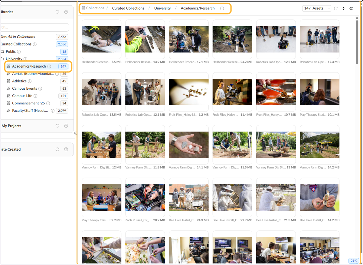 In the middle panel you will see the photos.