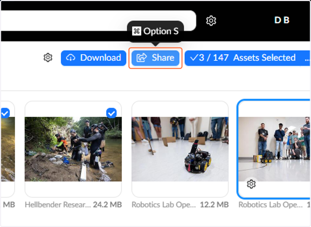 Click on the Share button to generate a share link