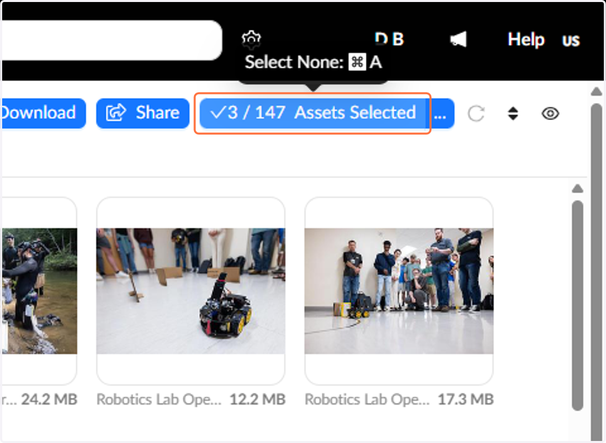 Click on Assets Selected to de-select all items