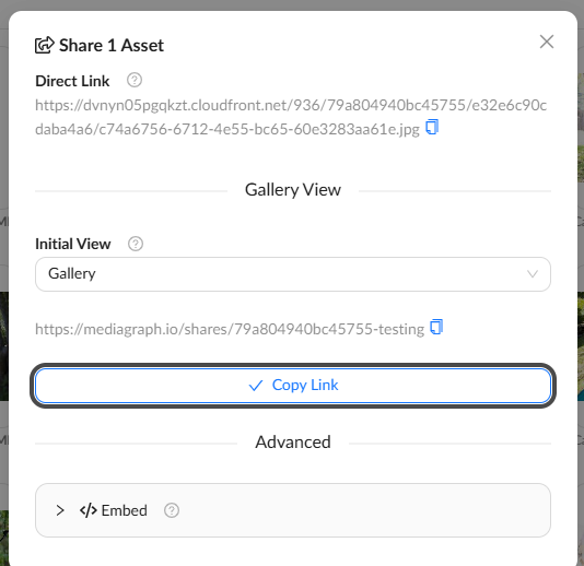 Use the Copy Link button to get your link