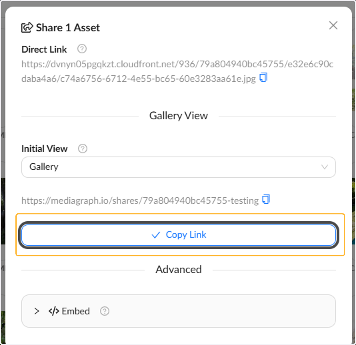 Use the Copy Link button to get your link
