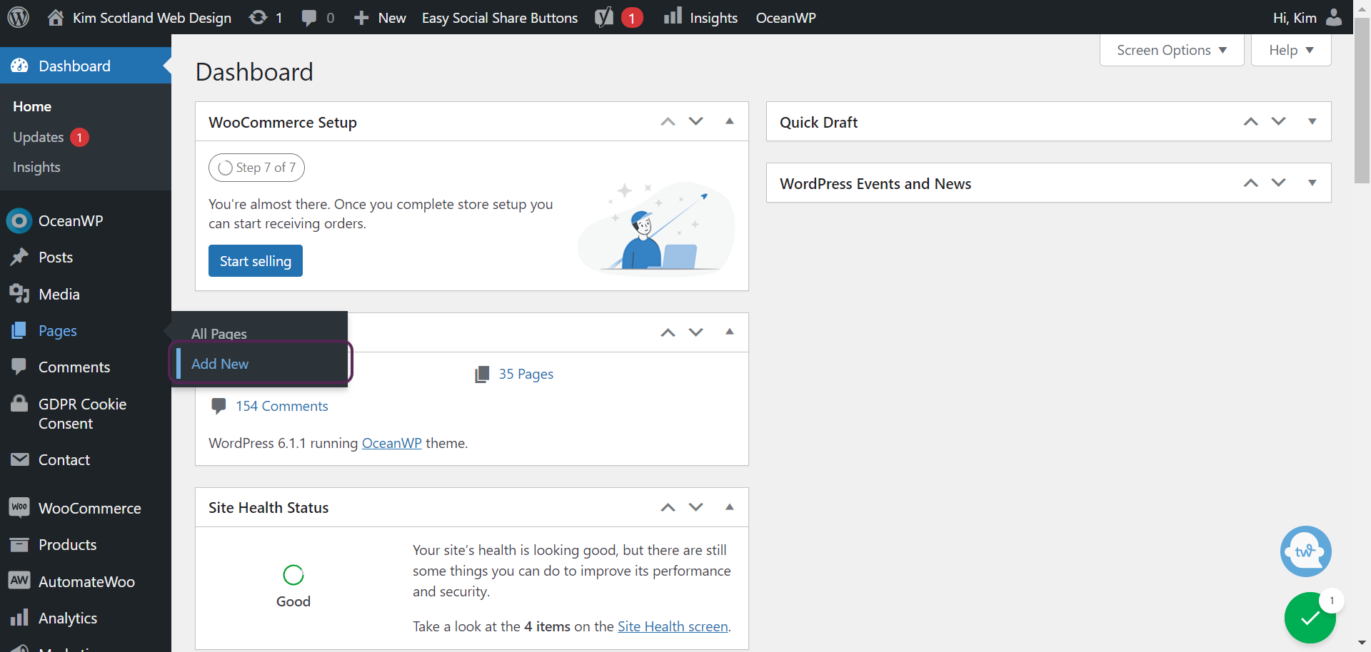 Screenshot of the user clicking the Add New option which displays when you hover over the Pages option.