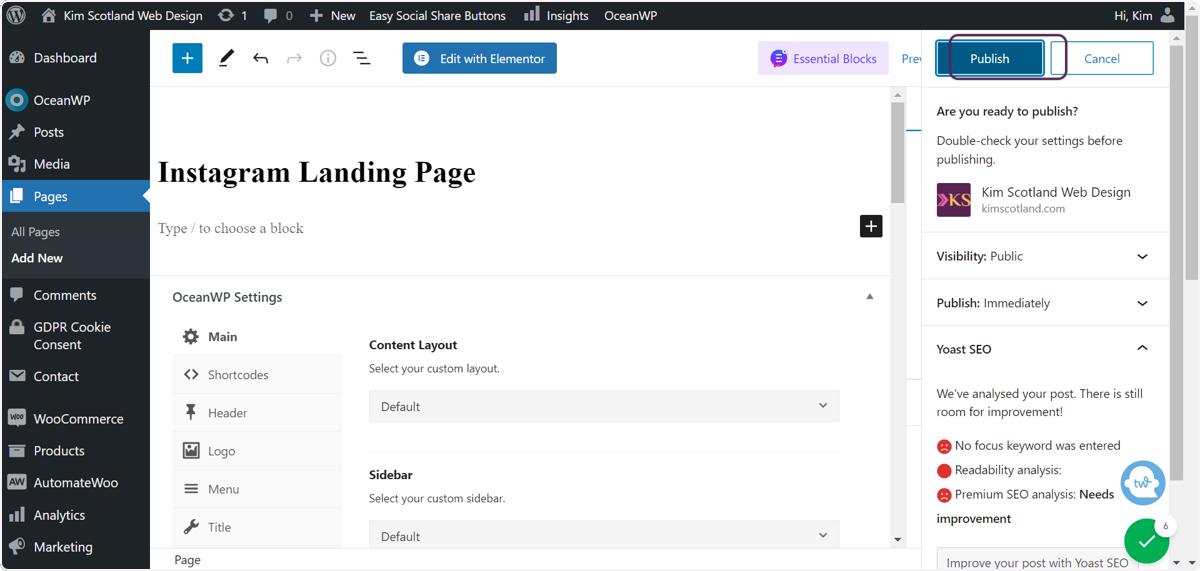 Screenshot of the user clicking the Publish button.