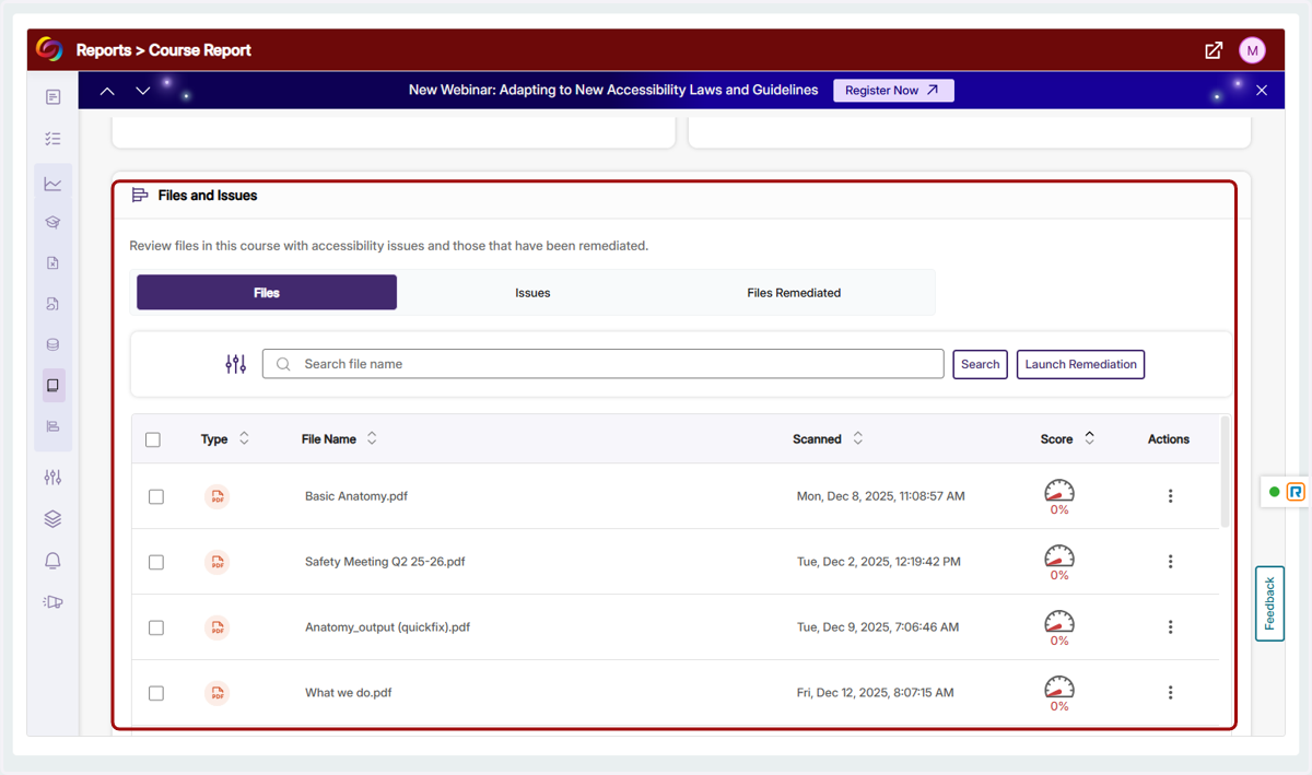 Found at the bottom of the Course Report, the Files and Issues section allows you to view all of the files and issues flagged by Panorama in your entire Moodle course.