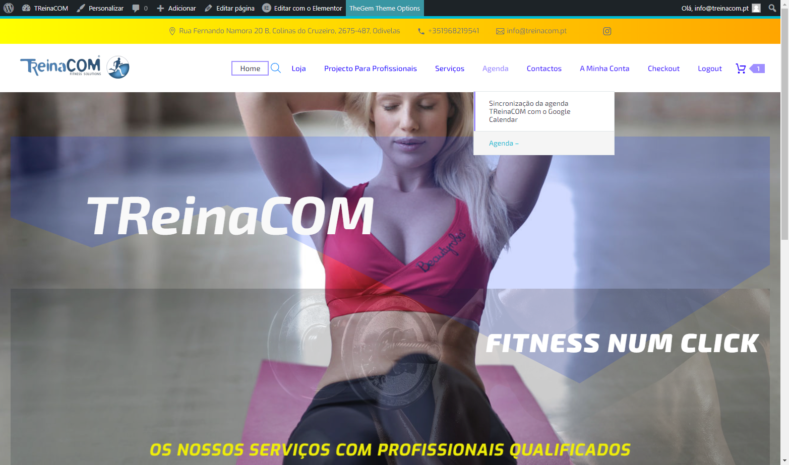 Clica em "Sincronização da agenda TReinaCOM com o Google Calendar"