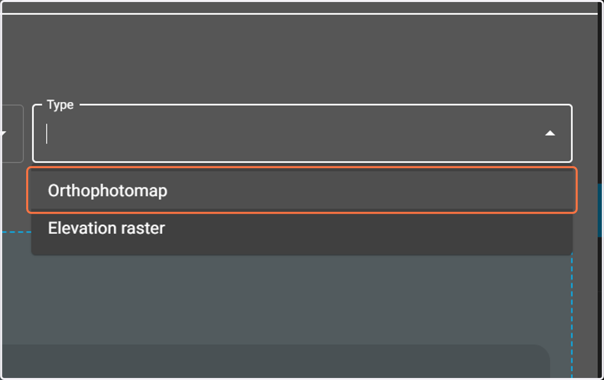 Then select the raster type as "Orthophotomap".