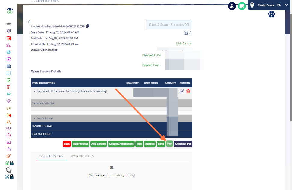 Go to the particular invoice of that pet owner and Click on "Pay" at the bottom.