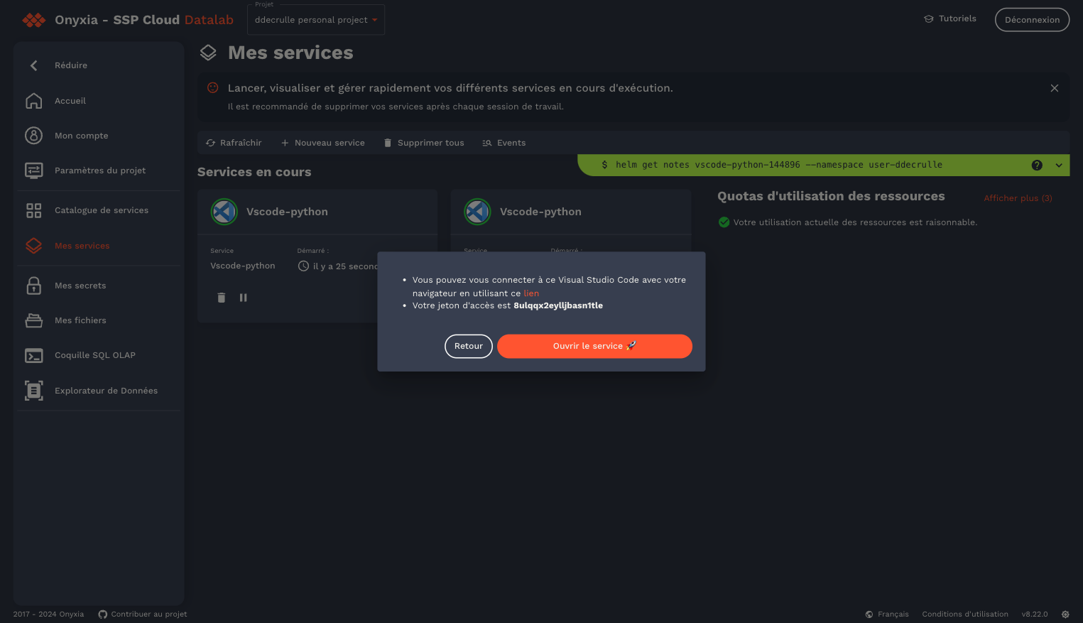 Cliquer sur Ouvrir le service 🚀