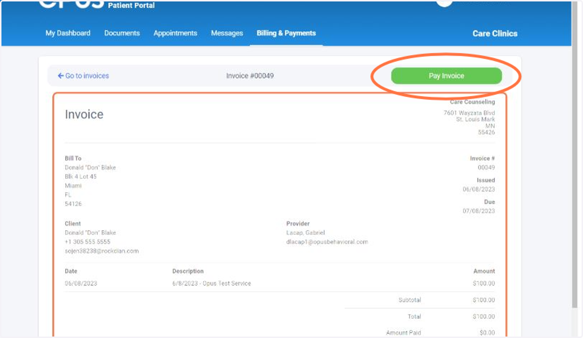 Review the details of the Invoice and then click Pay Invoice