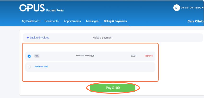 Select a Payment Method and Click Pay button